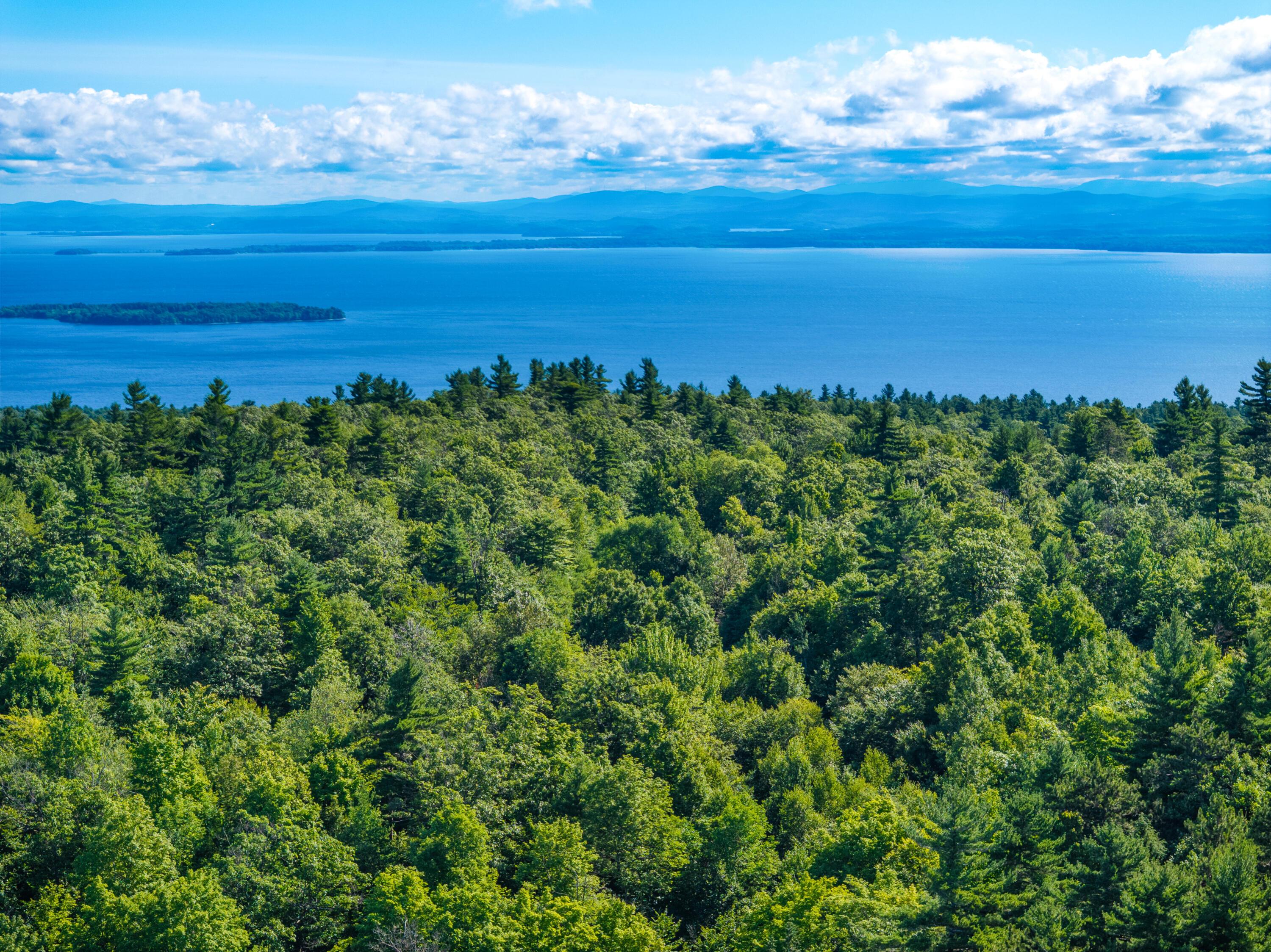 Image 1: (1) DJI_20250718091655_0132_D_JCM