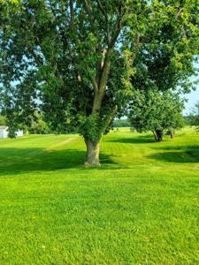 000 State Hwy 37 & State Hwy 56