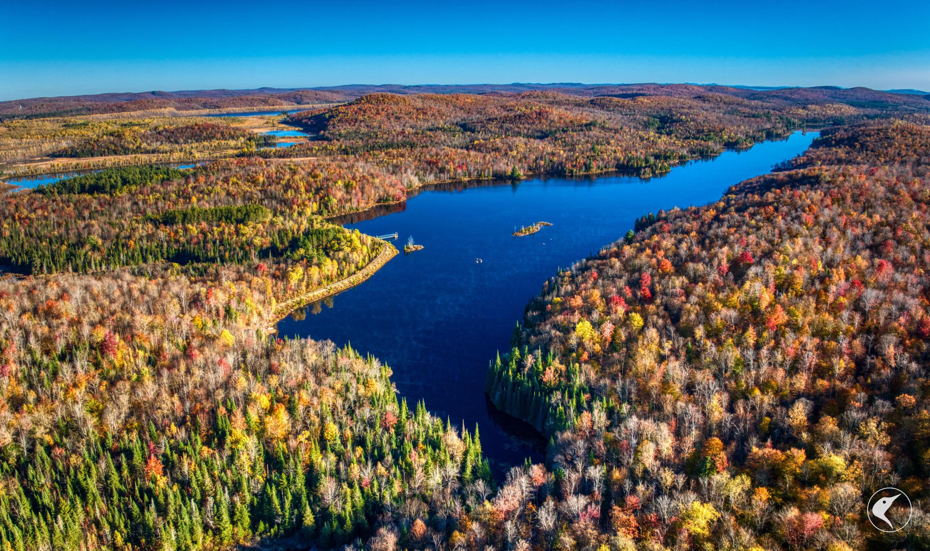Image 2: DJI_20241018091509_0018_D