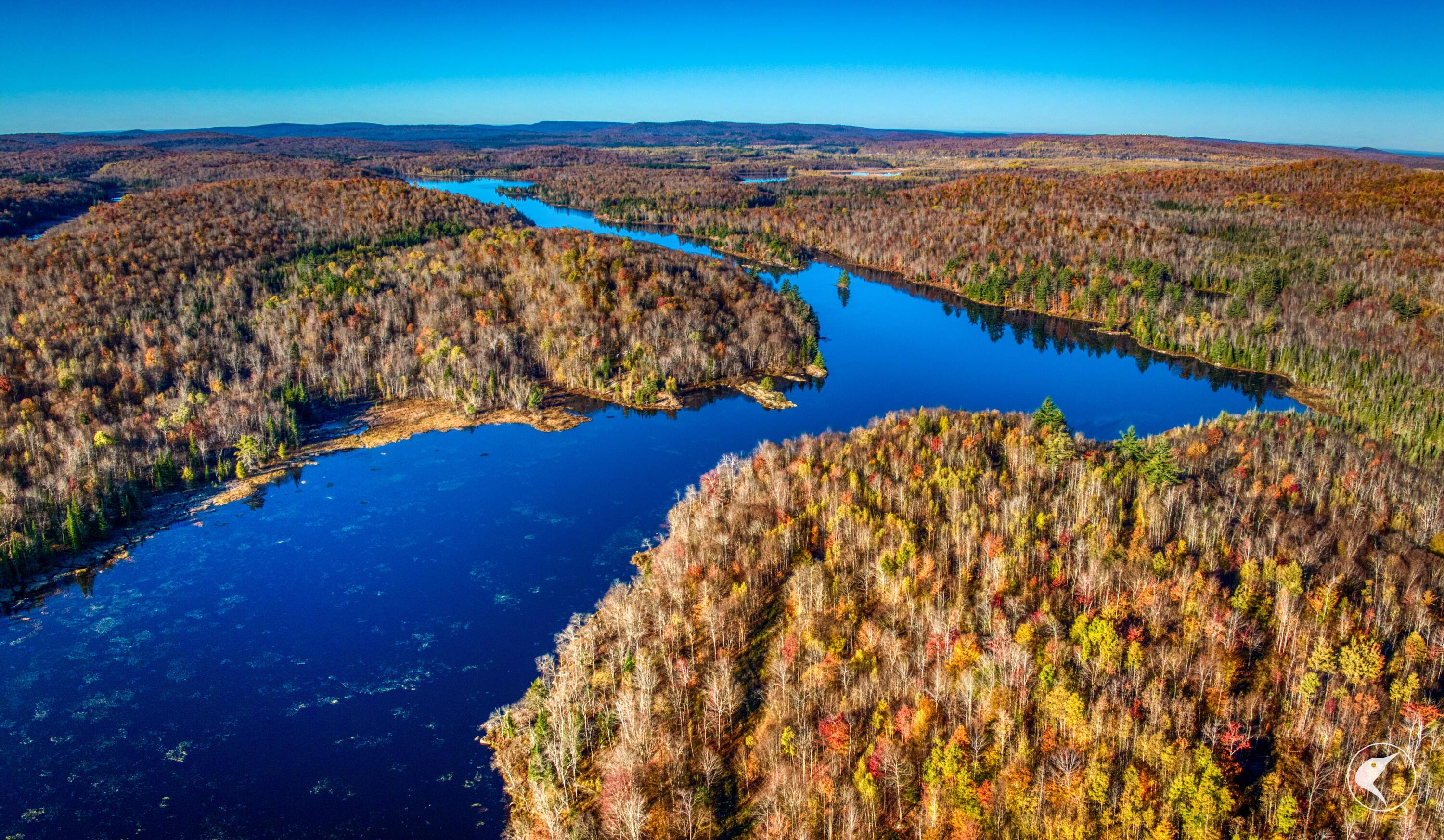 Image 3: DJI_20241018091955_0041_D