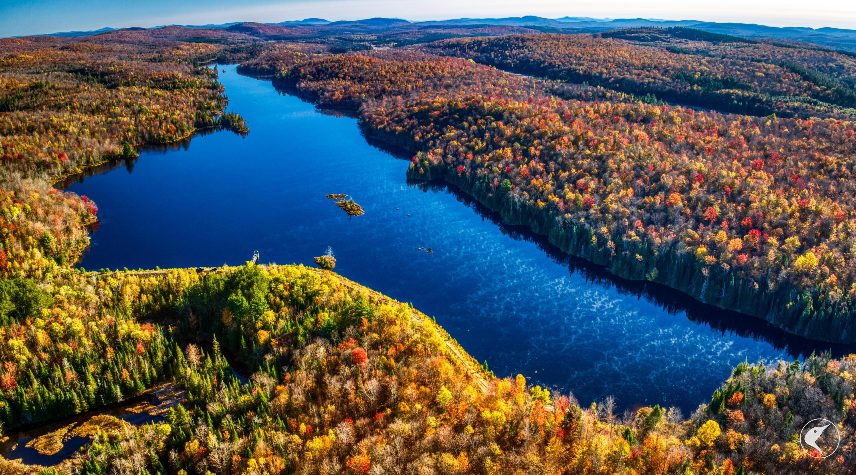 Image 4: DJI_20241018093908_0229_D