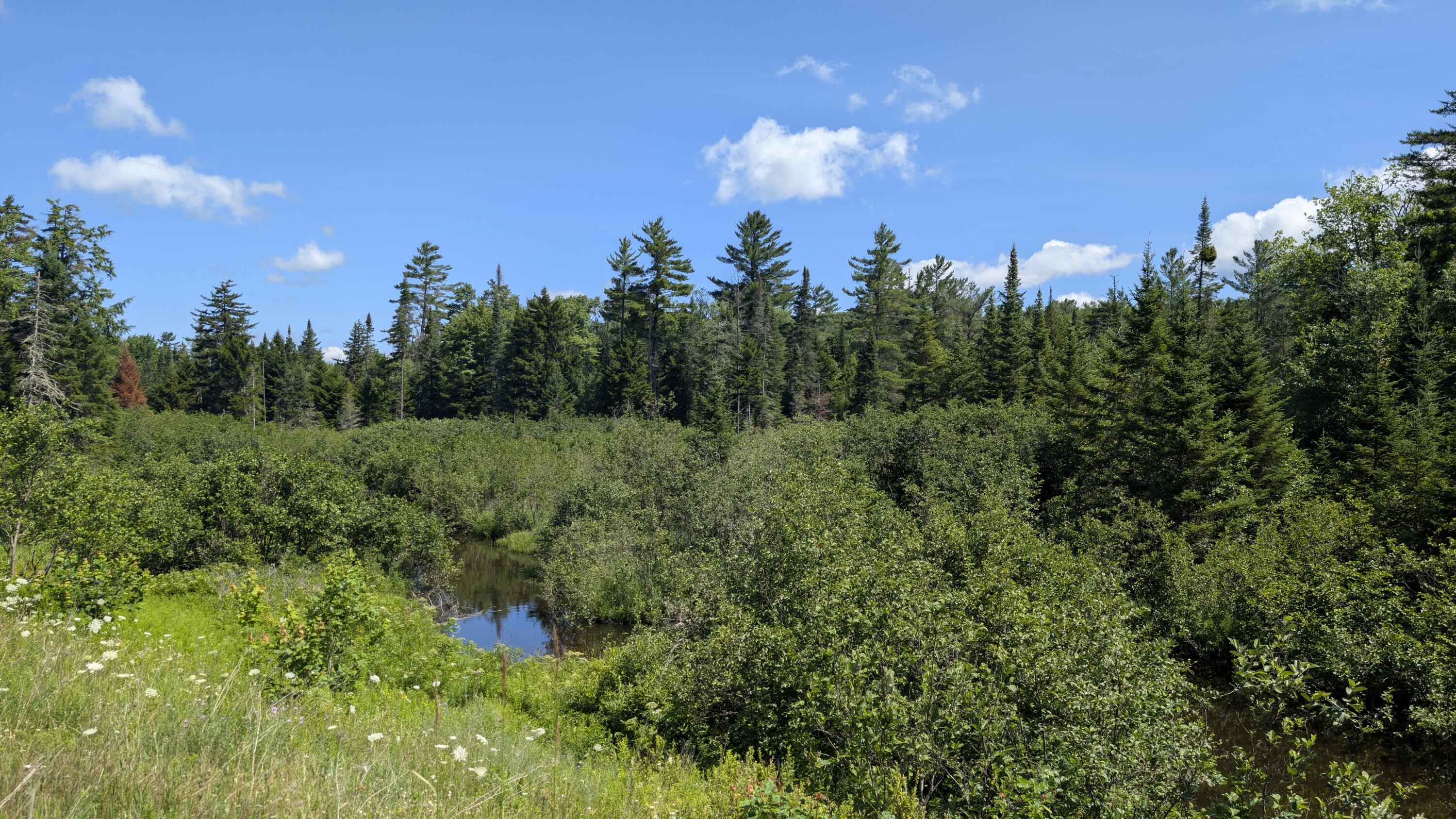 Image 1: PXL_20250718_152334250