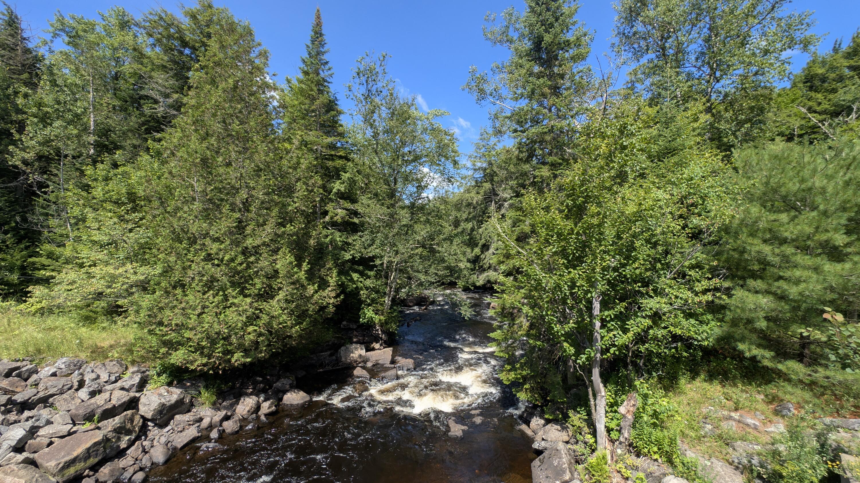 Image 2: PXL_20250718_152644203