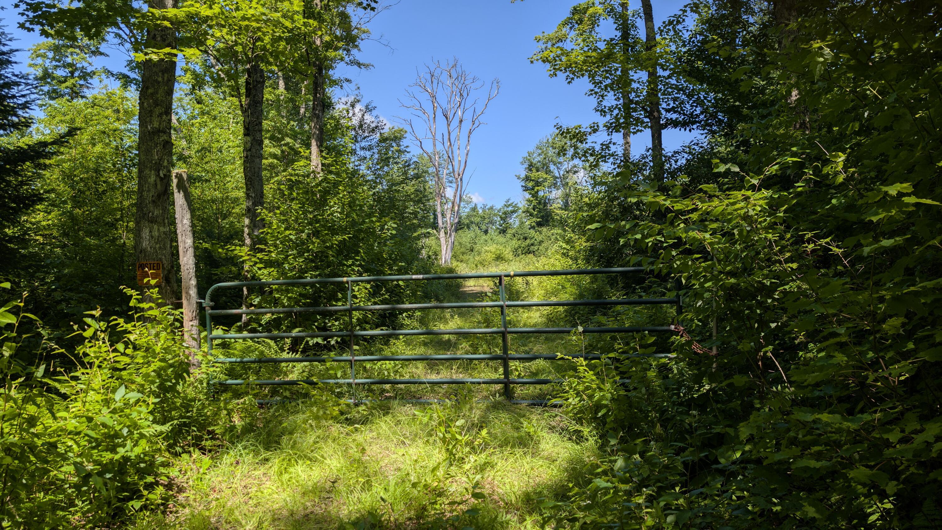 Image 3: PXL_20250718_155437170