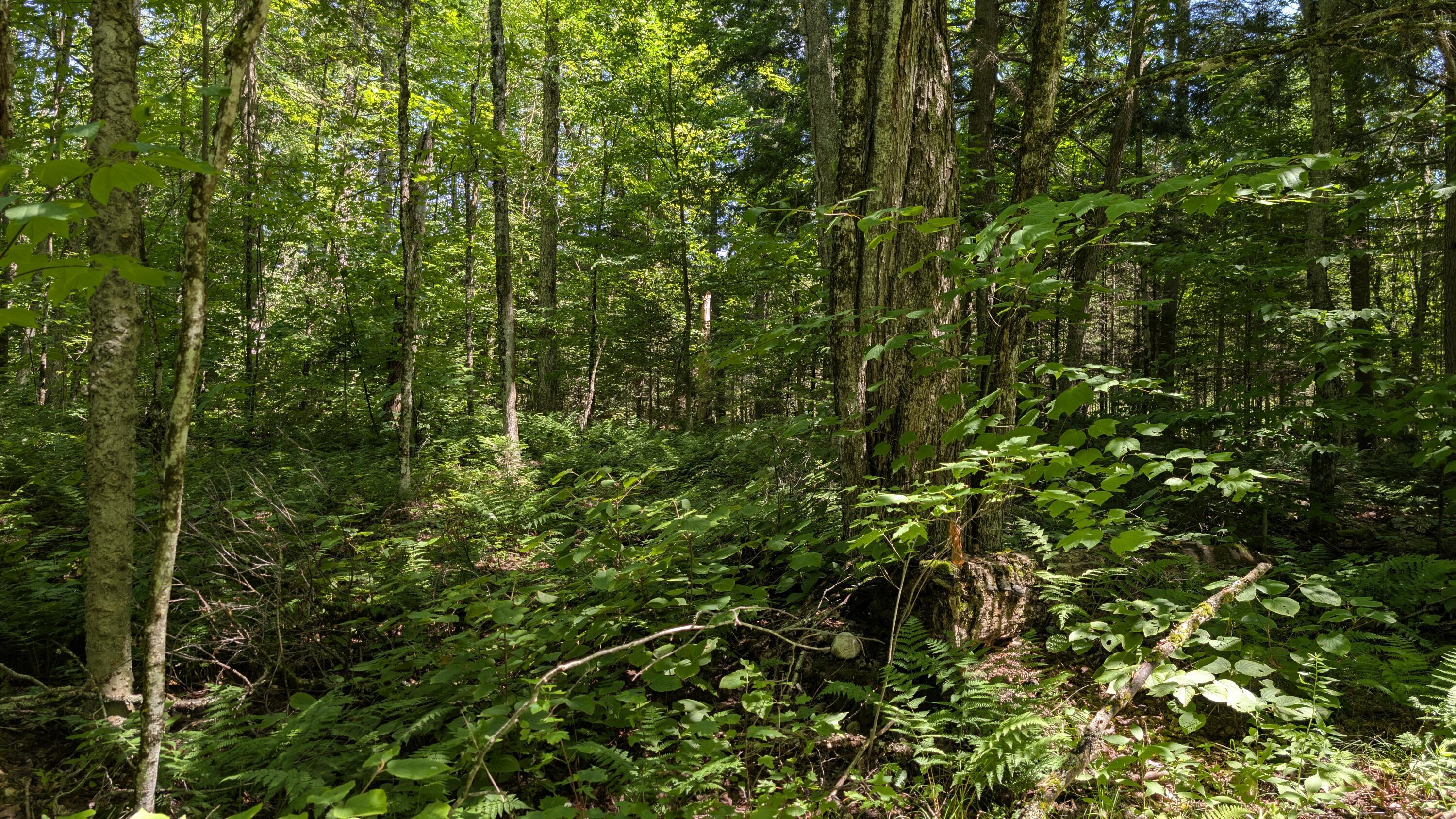 Image 4: PXL_20250718_155557150