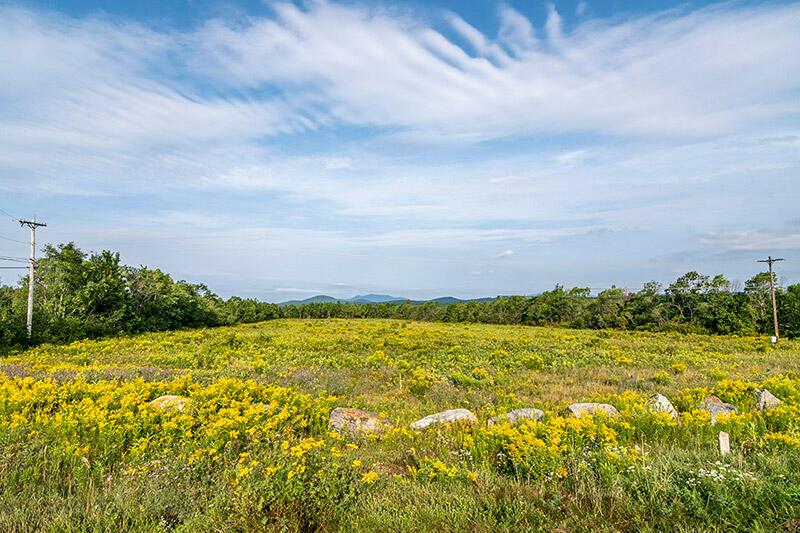 Image 3: 147_Private_Acres_In_Harrietstown_Lot