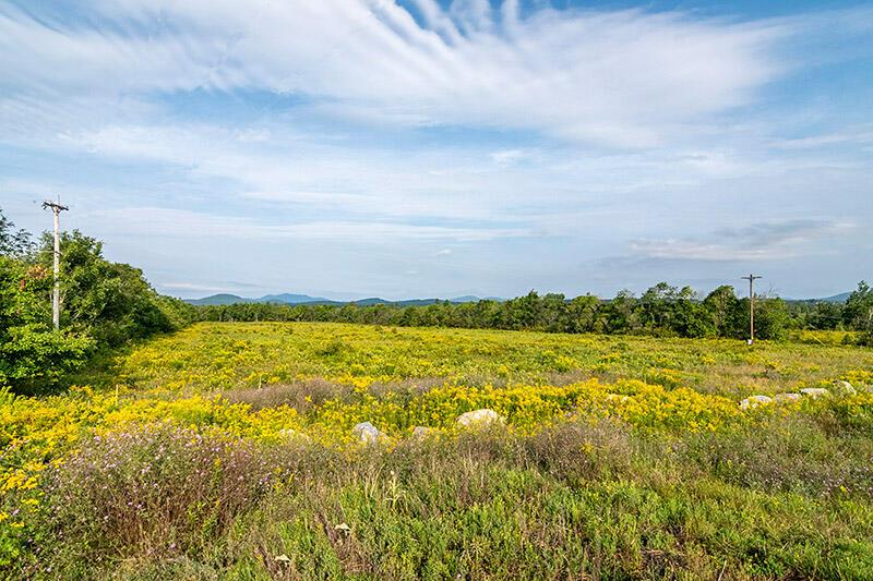 Image 4: 147_Private_Acres_In_Harrietstown_Lot_1