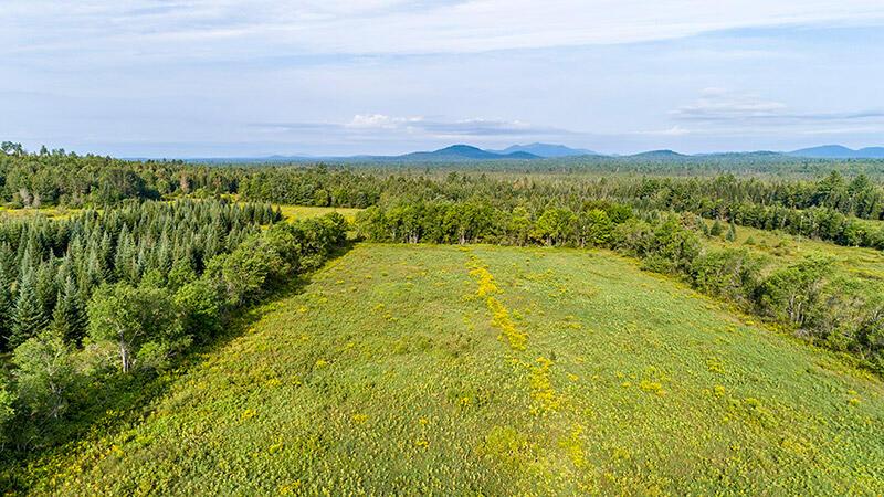 Image 4: 147_Private_Acres_In_Harrietstown_A_Lot_