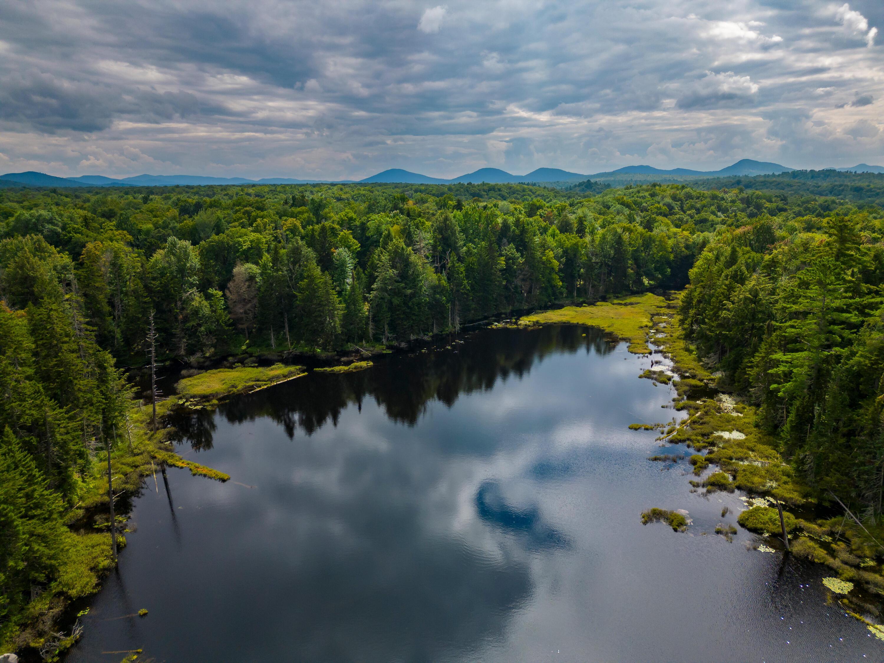 Image 4: Partridge Park Preserve August 2023 dron