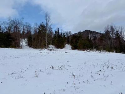 0 NYS Rt. 86 (Lot 3)