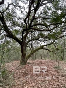 9847 S County Road 99