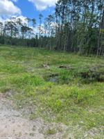 6026 County Road 6