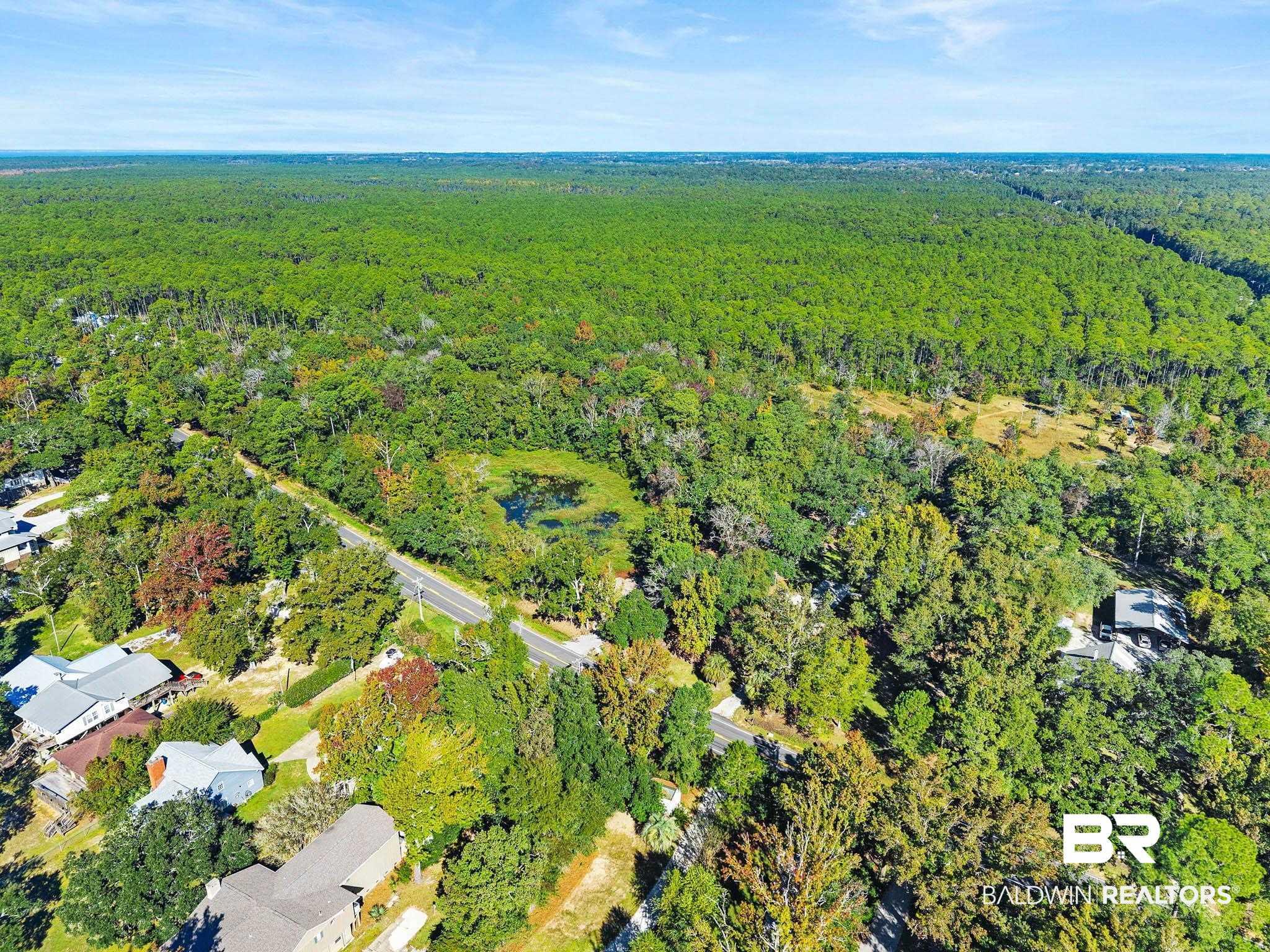 Image 3: Aerial overview of property's location with a forest