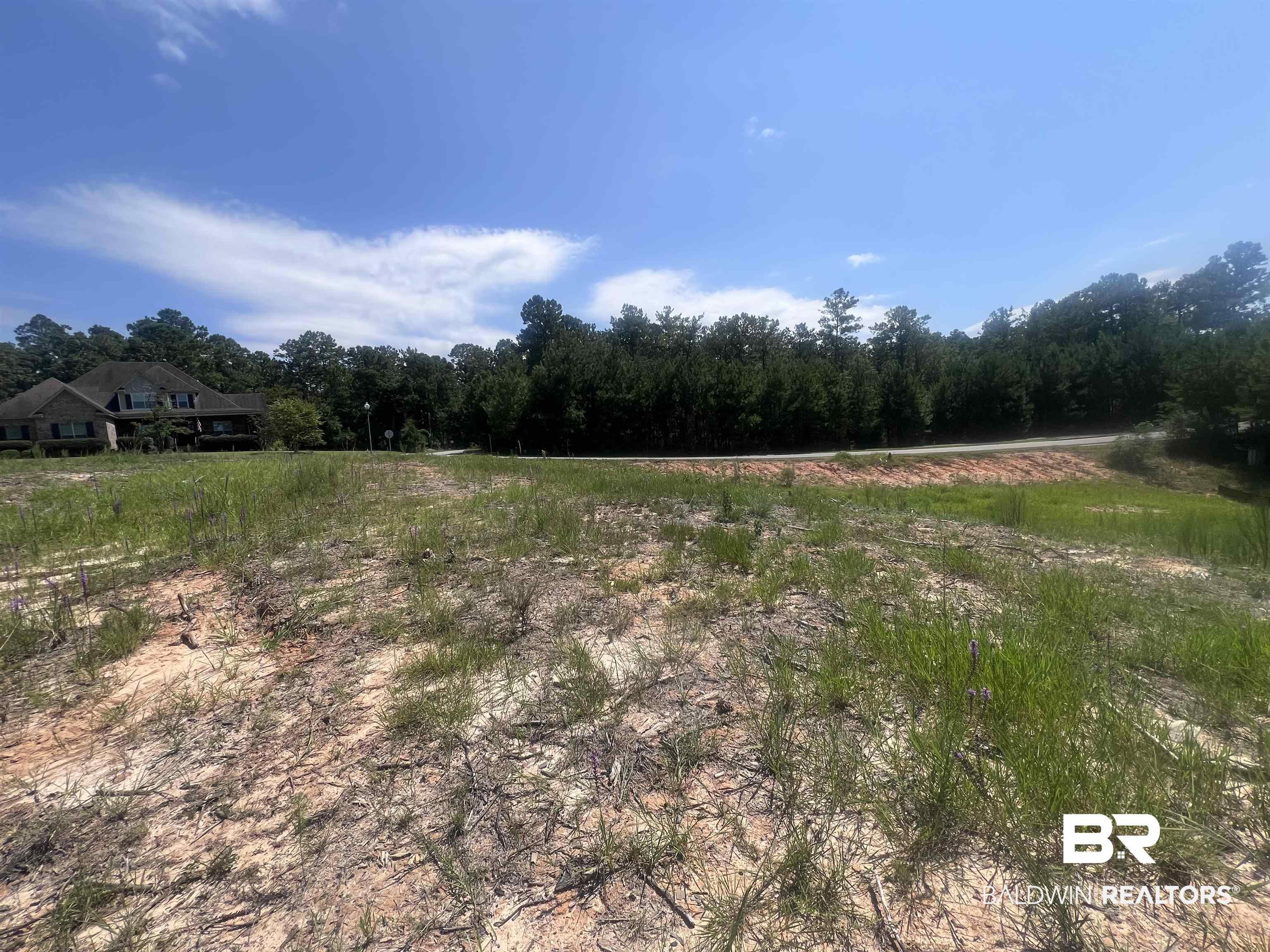 Image 3: View of yard featuring a rural view and a view of trees