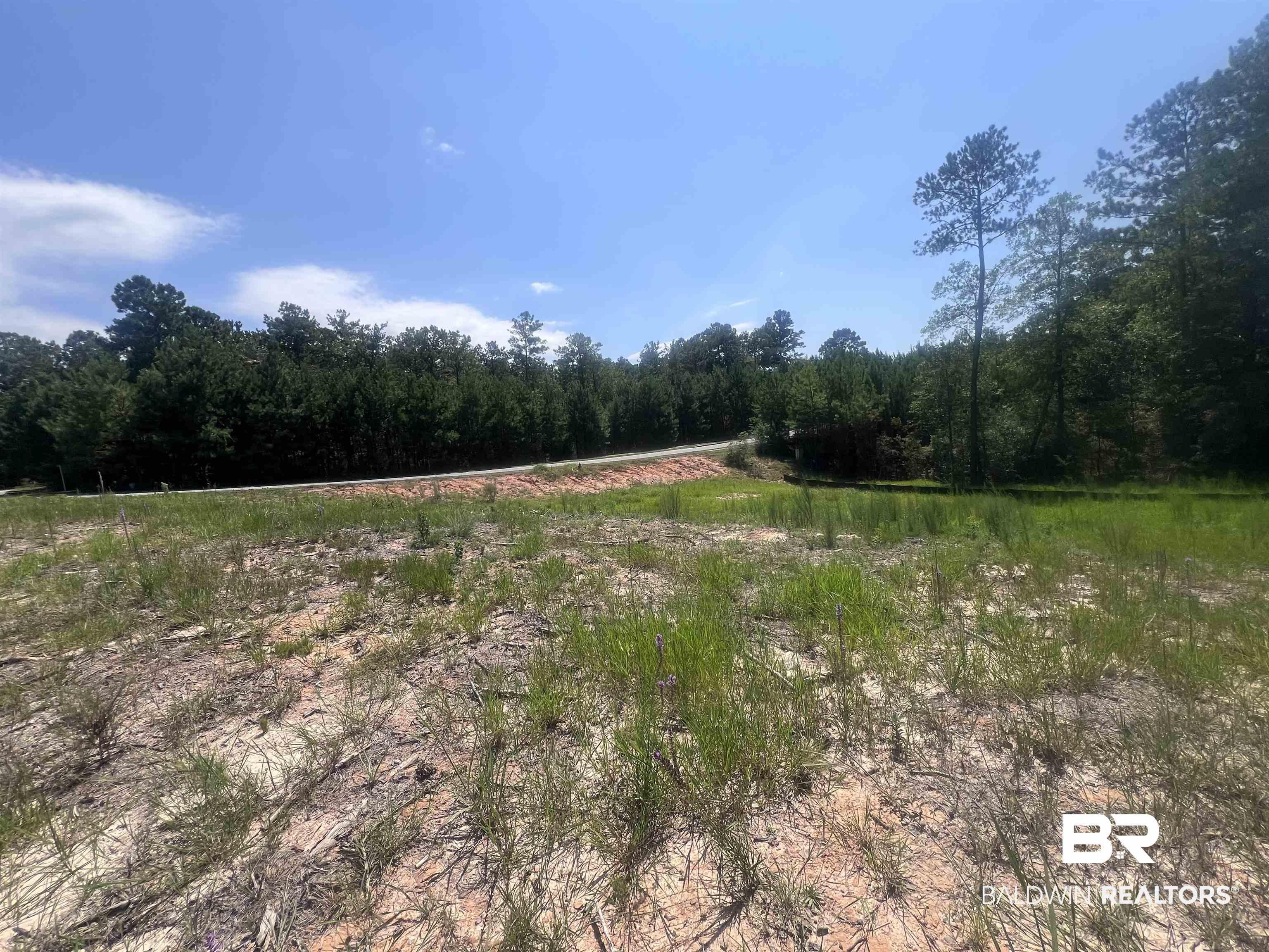 Image 4: View of wooded area with a view of rural / pastoral area