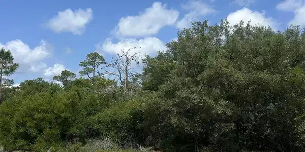 0 Bayou Court
