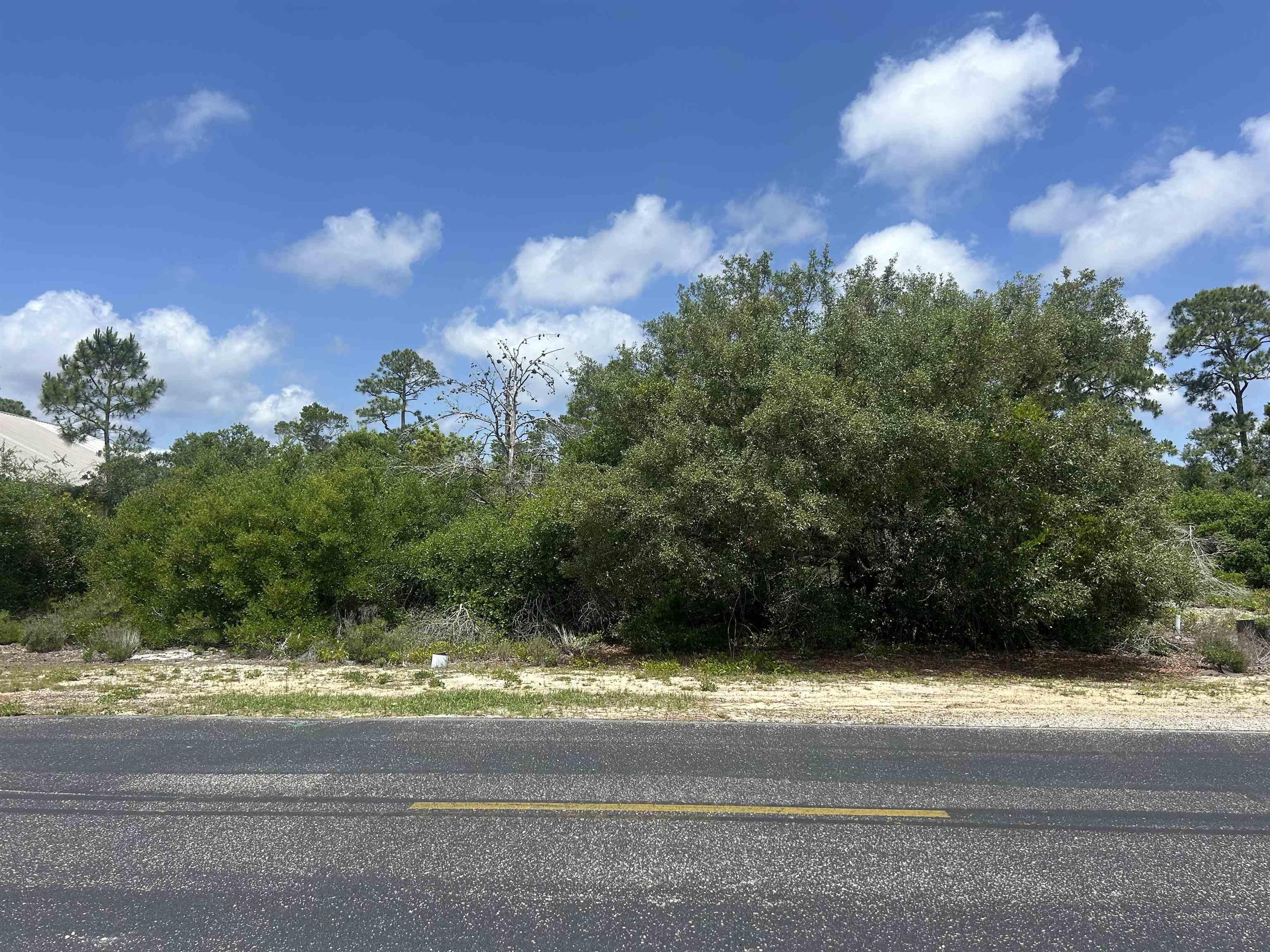 Image 2: View of asphalt road