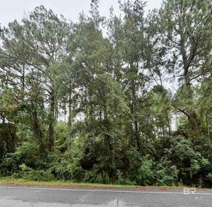 728 Bear Creek Drive