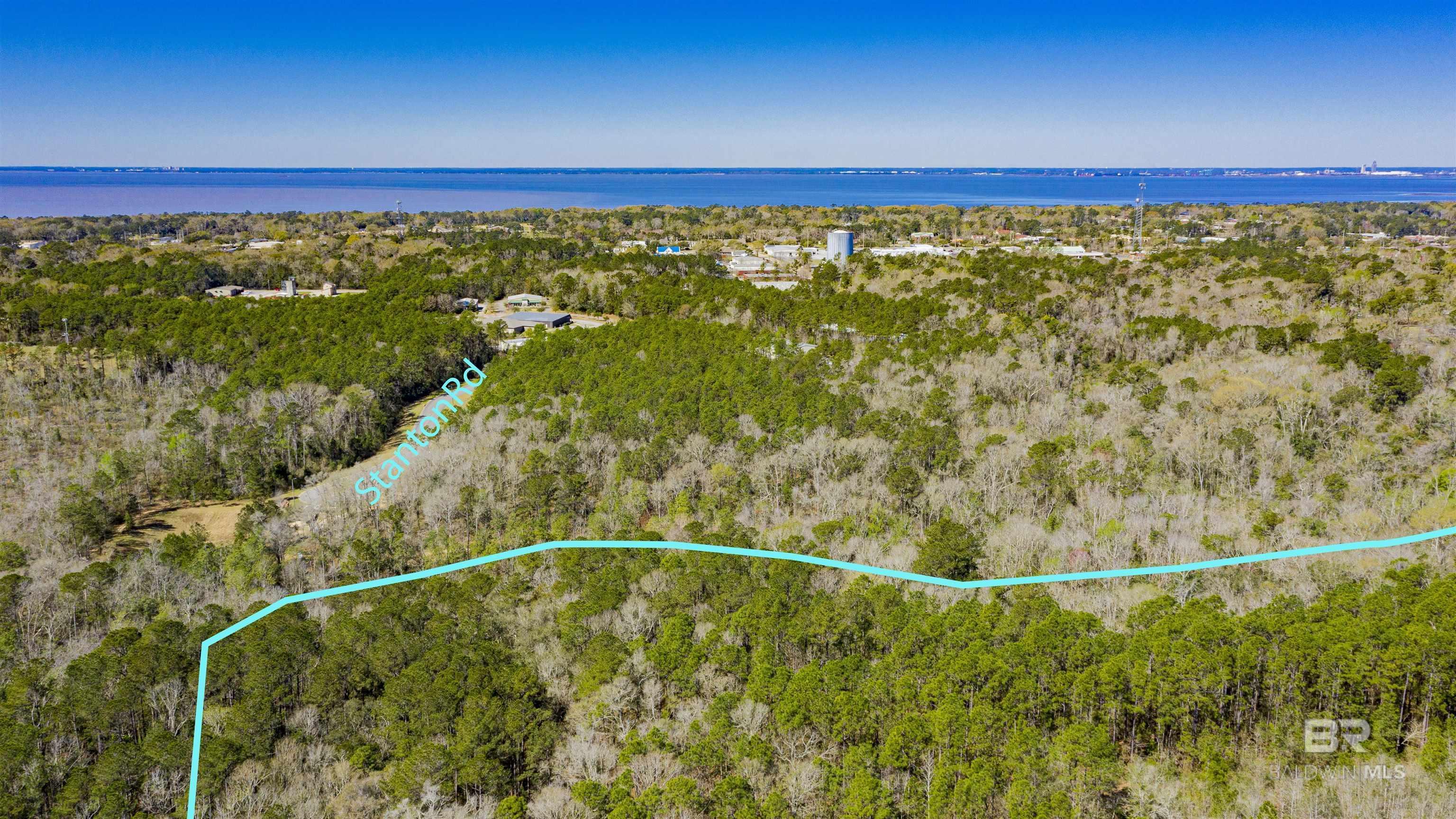 Image 4: Aerial View