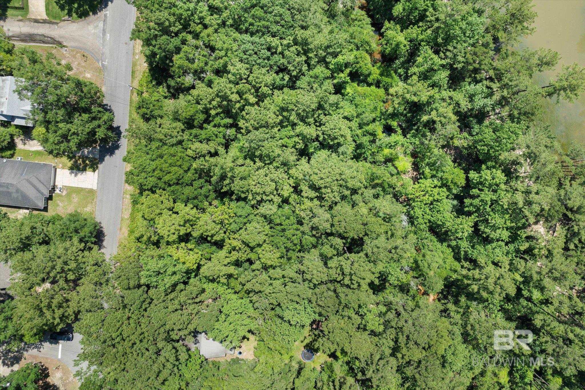 Image 2: Aerial View