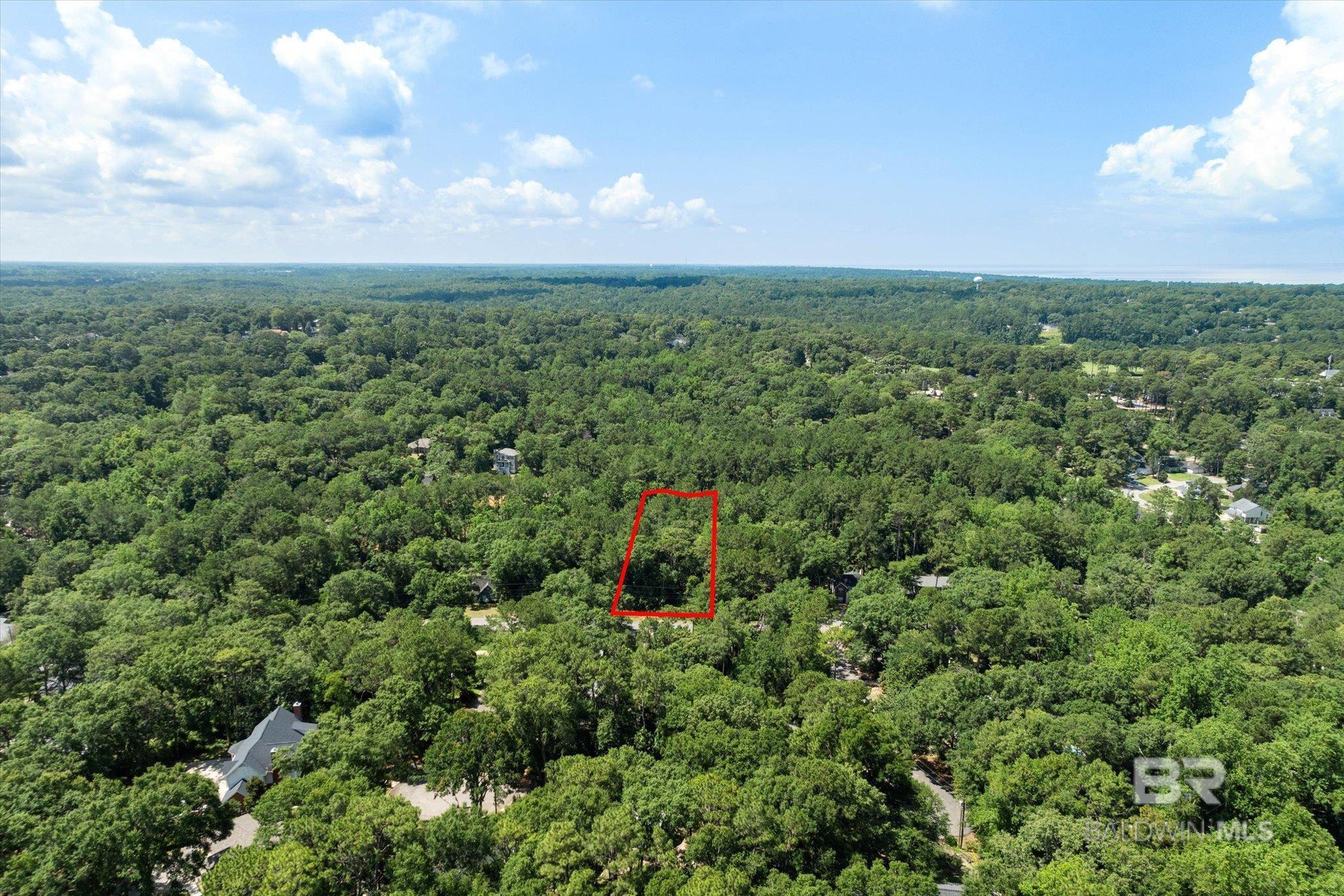 Image 3: Aerial View