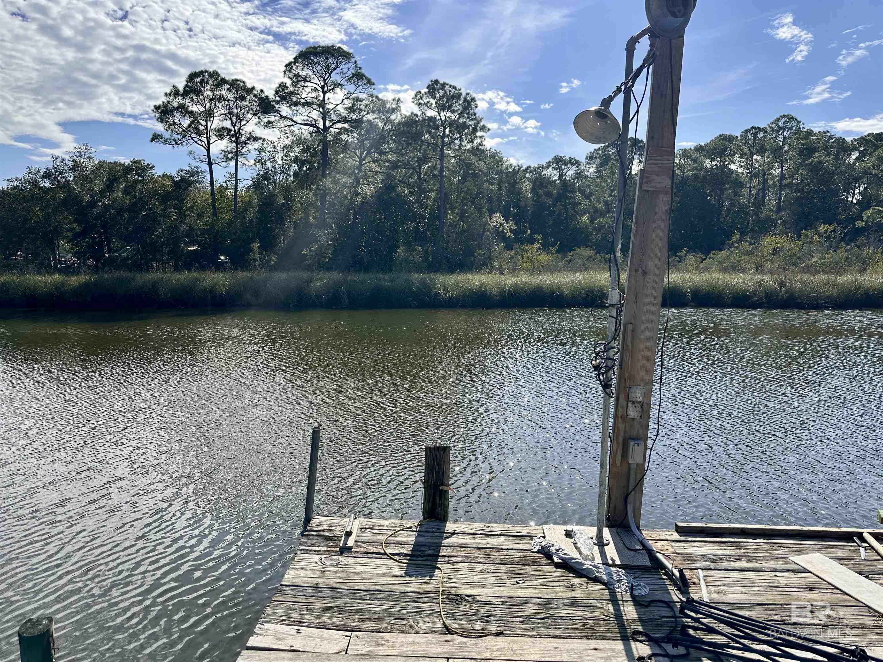 Image 3: Dock