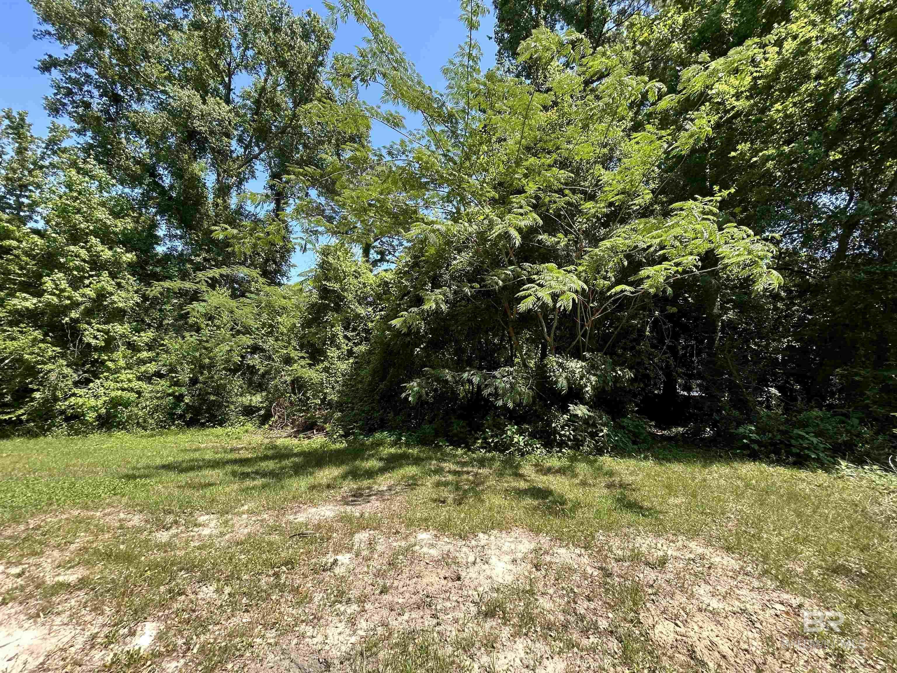 Image 1: Lot 19 - 134 Confederate Dr