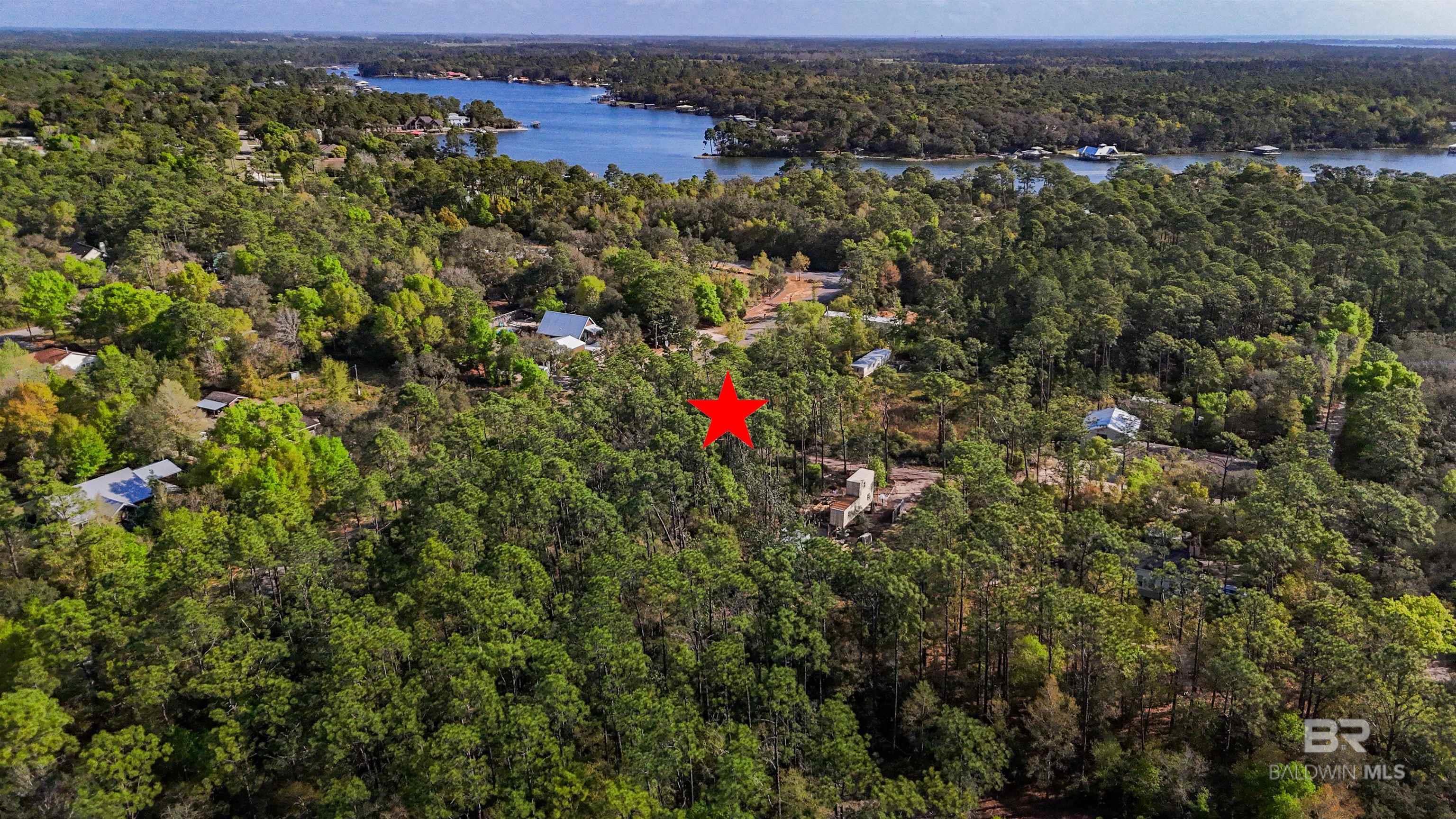 Image 4: Aerial View