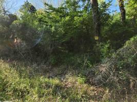 11703 County Road 26
