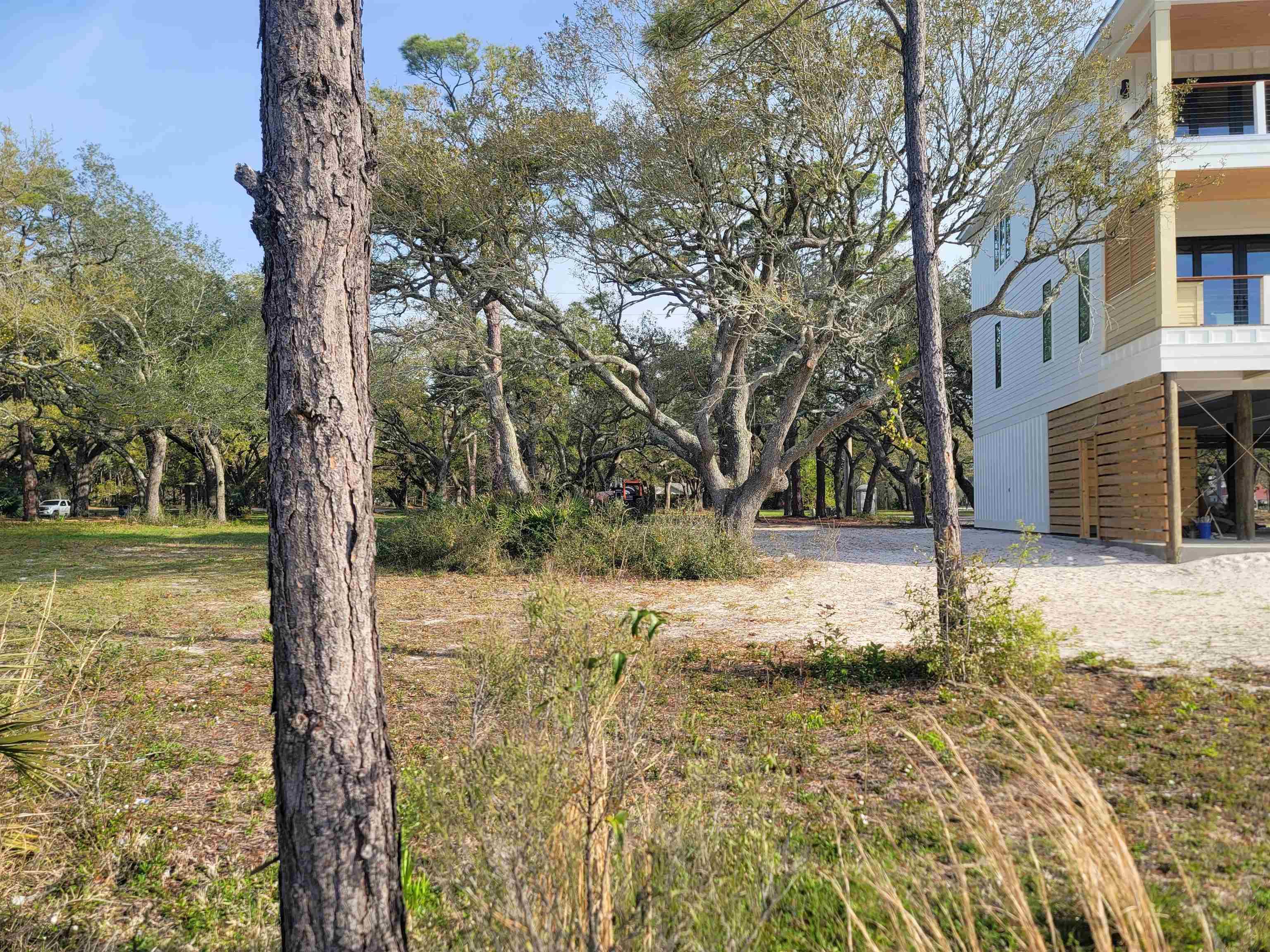 Image 3: View of yard with gravel driveway