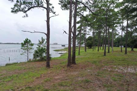 1115 Water Oaks Circle