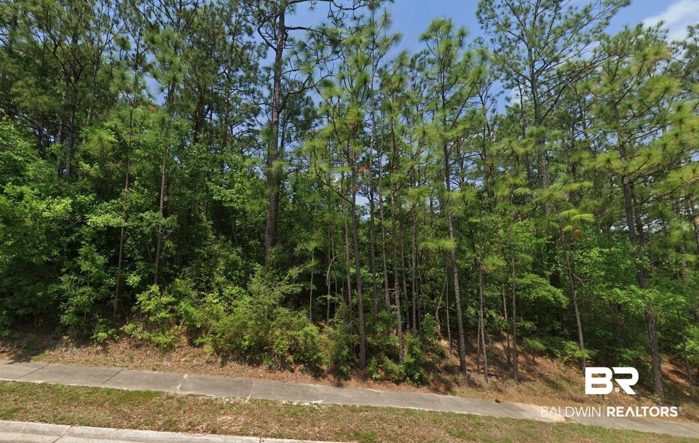 Image 4: View of tree filled area