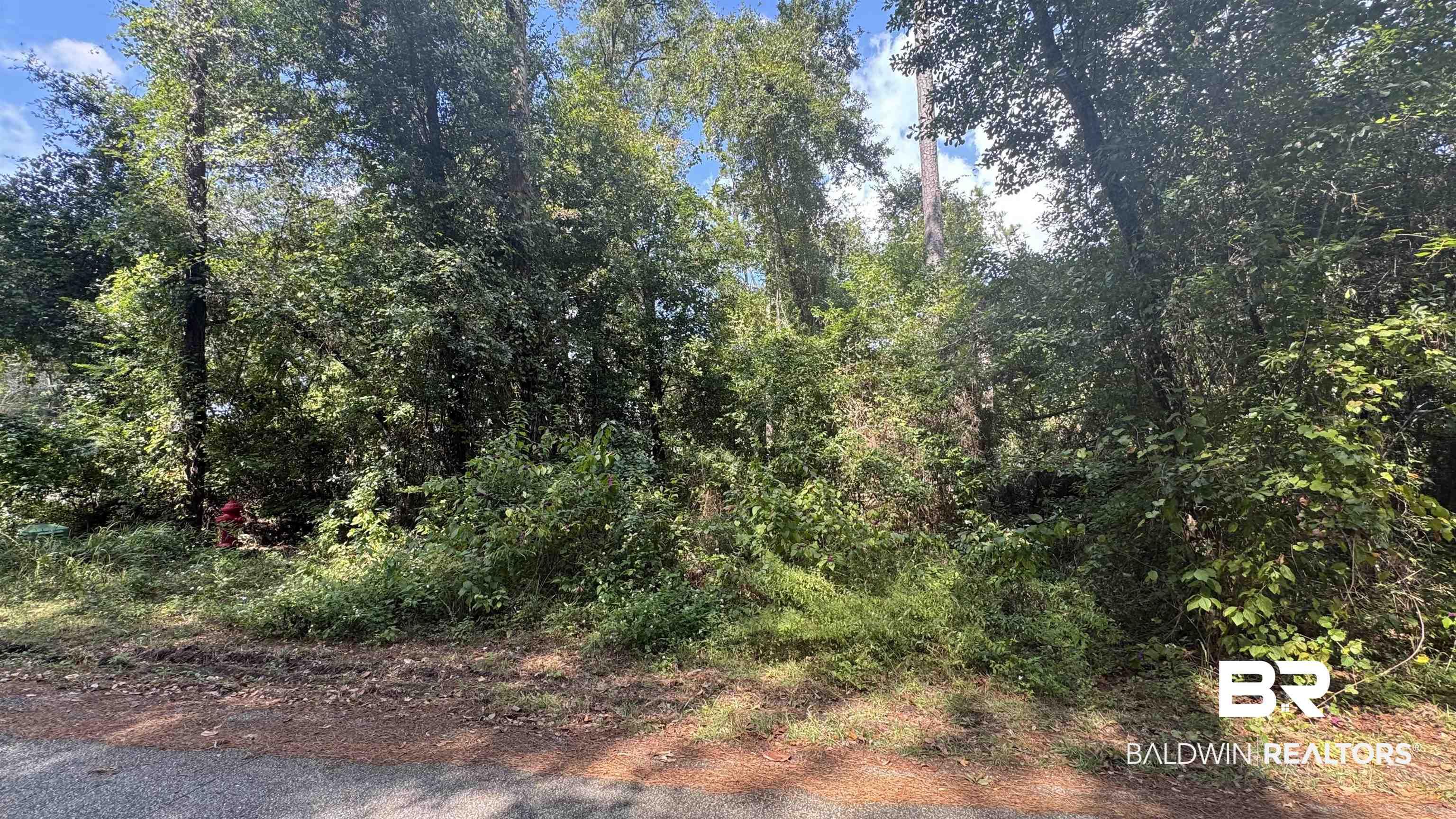 Image 1: View of wooded area