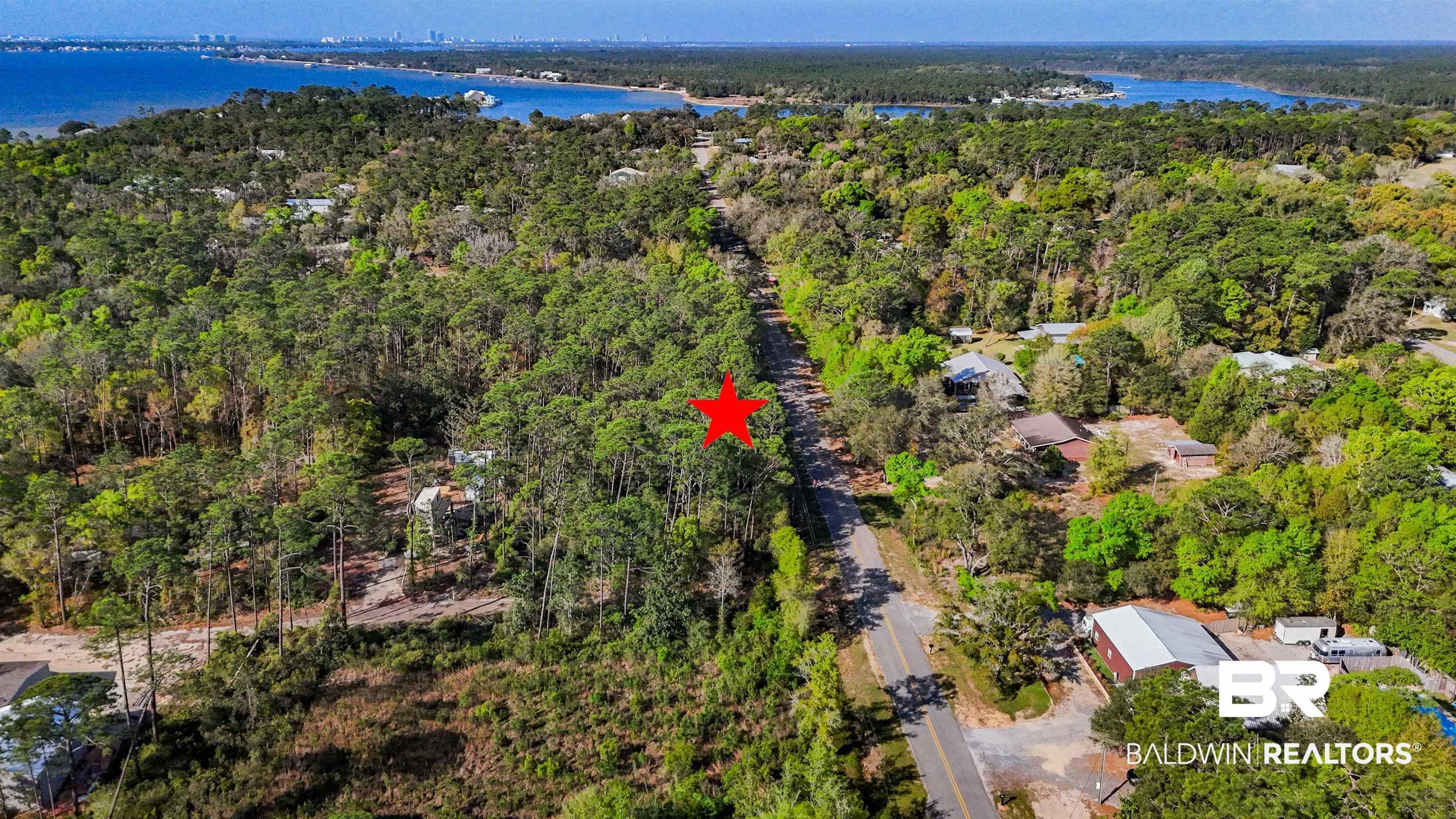 Image 3: Aerial view of a nearby body of water and a forest