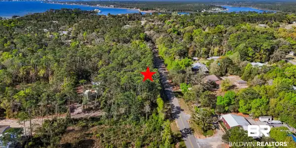 Image 3: Aerial view of a nearby body of water and a forest