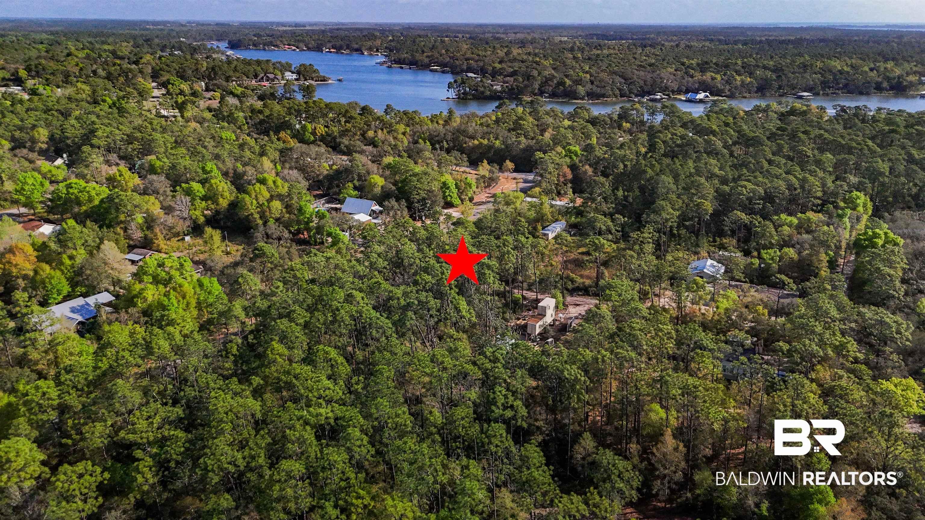 Image 4: Aerial view of a forest and a large body of water