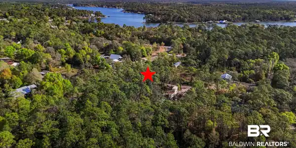 Image 4: Aerial view of a forest and a large body of water