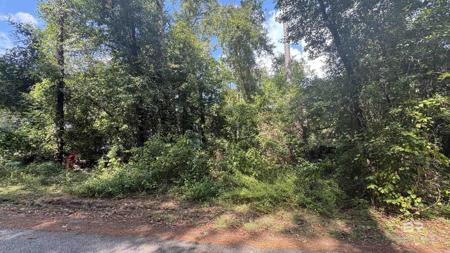 Lot 7 Dogwood Dells Circle