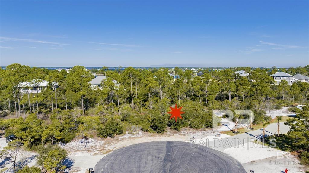 Image 4: Aerial View