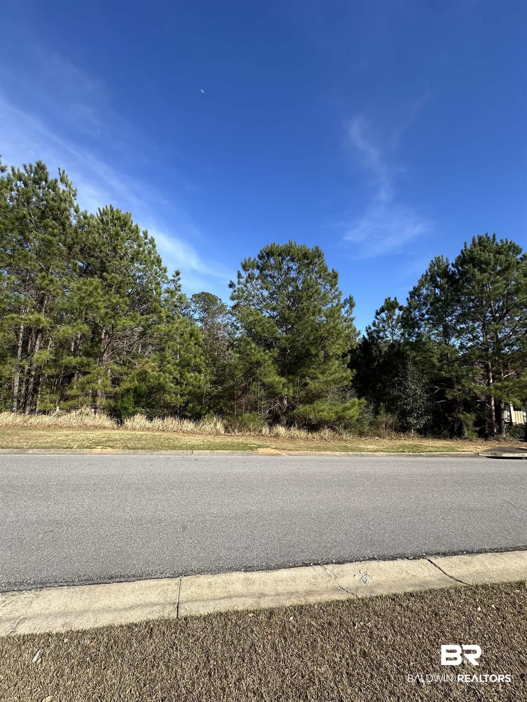 Image 4: View of asphalt road