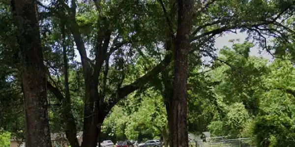 Deer Avenue