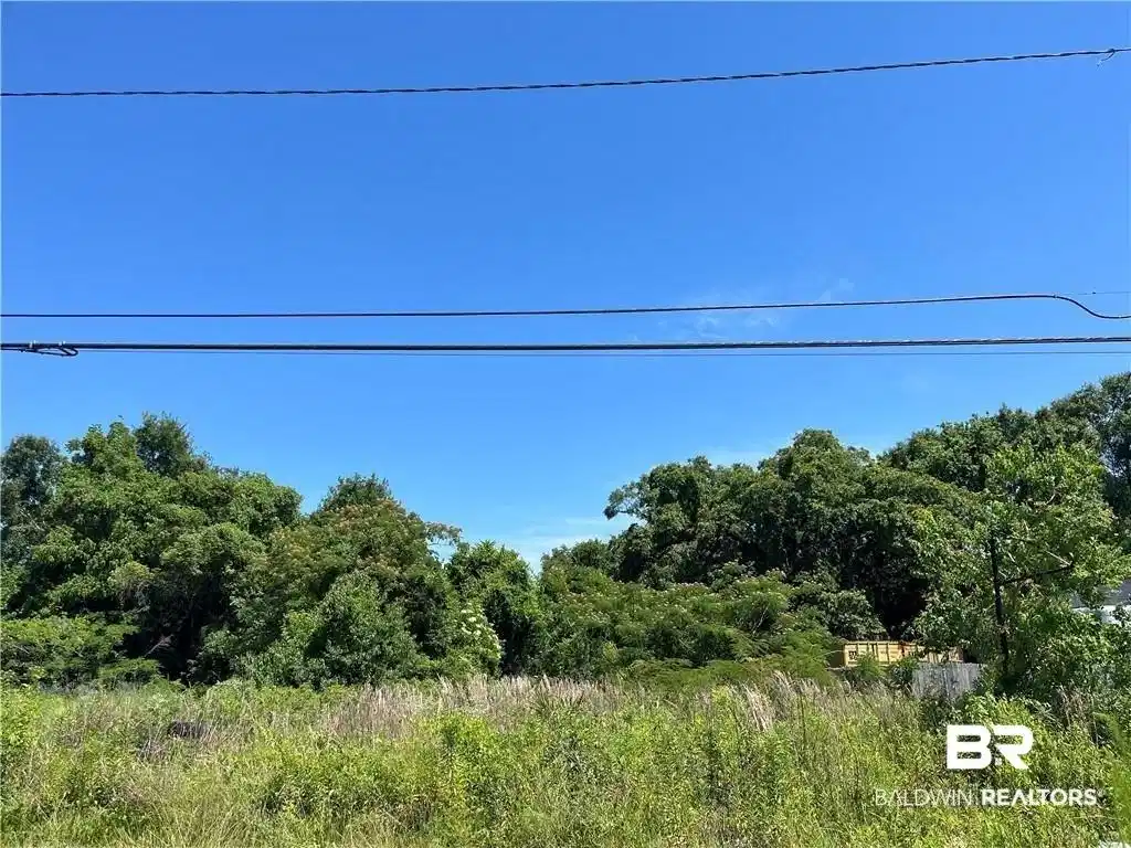 Image 1: View of wooded area