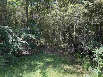 0 Bayou Pines Drive