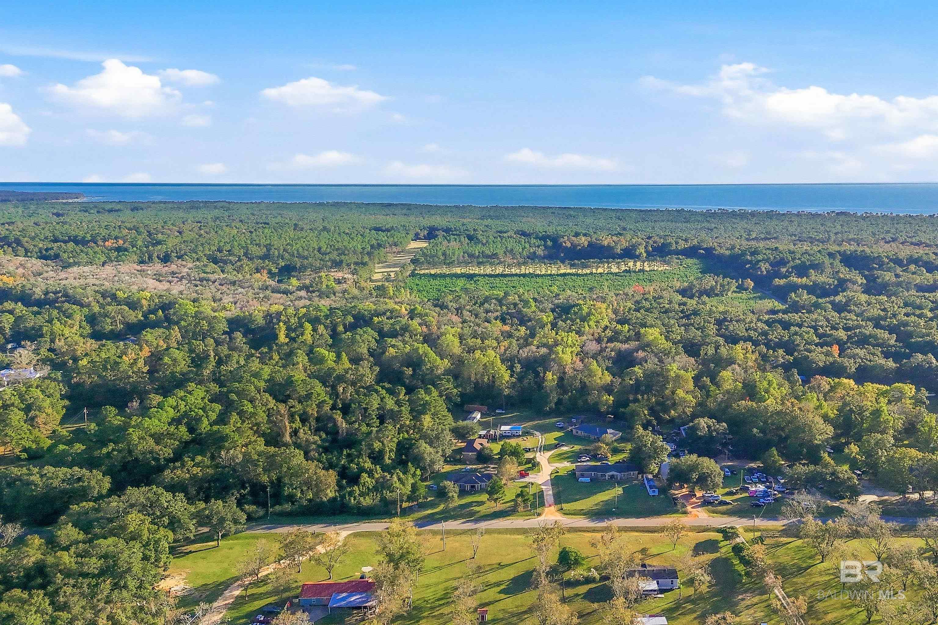 Image 4: Aerial View