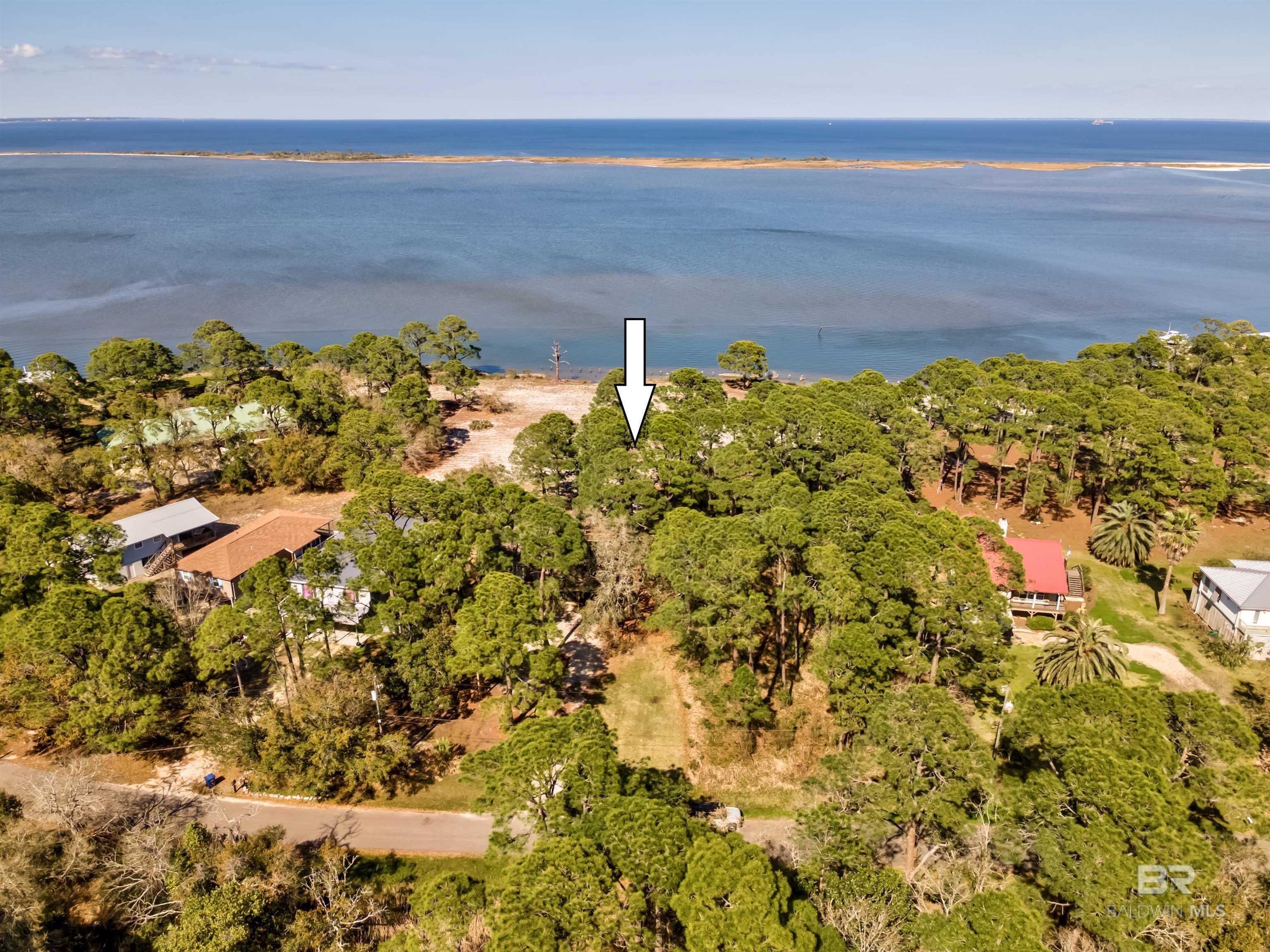 Image 3: Aerial View