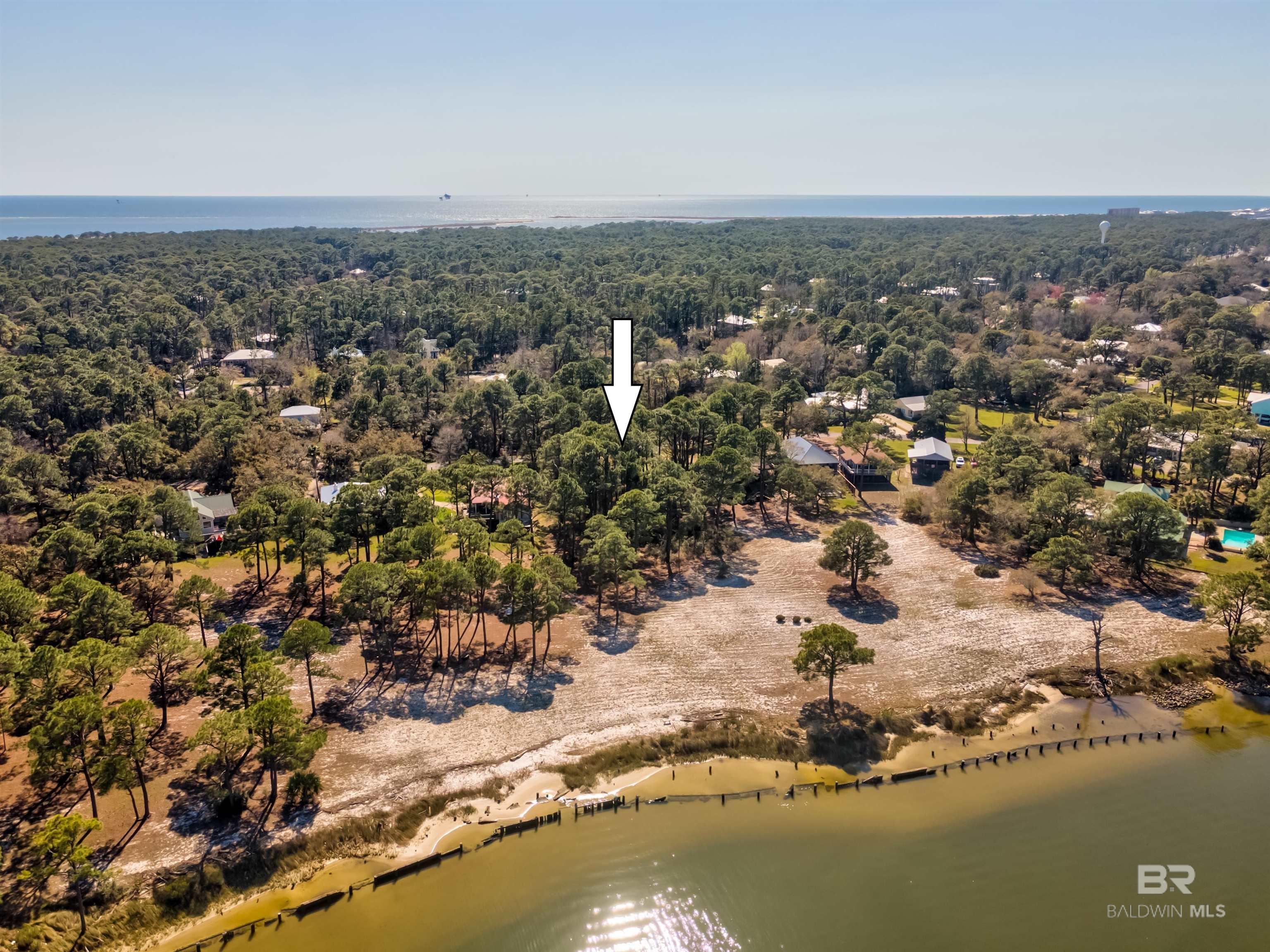 Image 4: Aerial View
