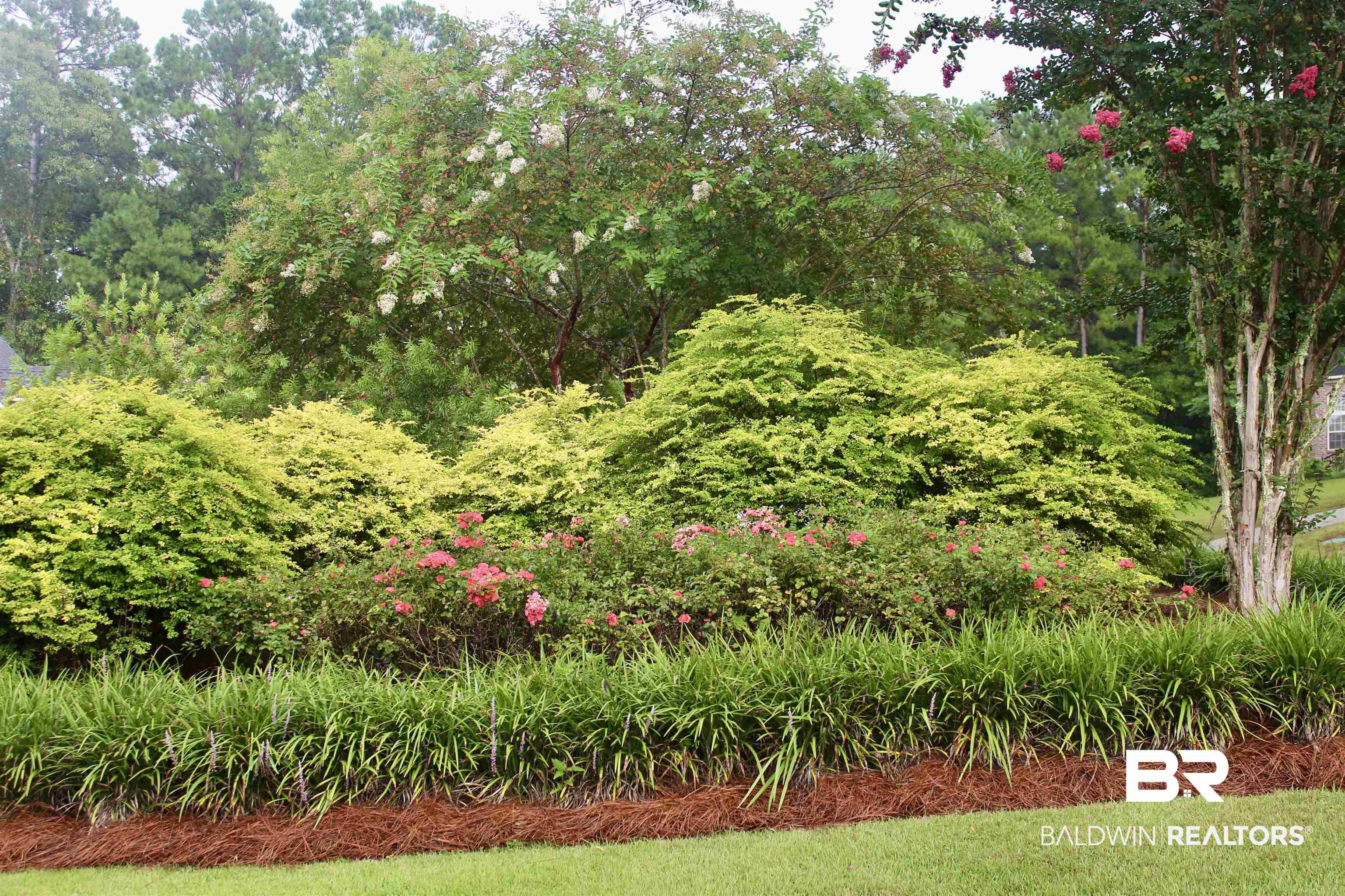 Image 2: Lush landscaping featuring layered plantings, mature trees, flowering shrubs, pine straw ground cover, and a manicured lawn