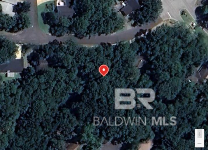 Image 4: Aerial View