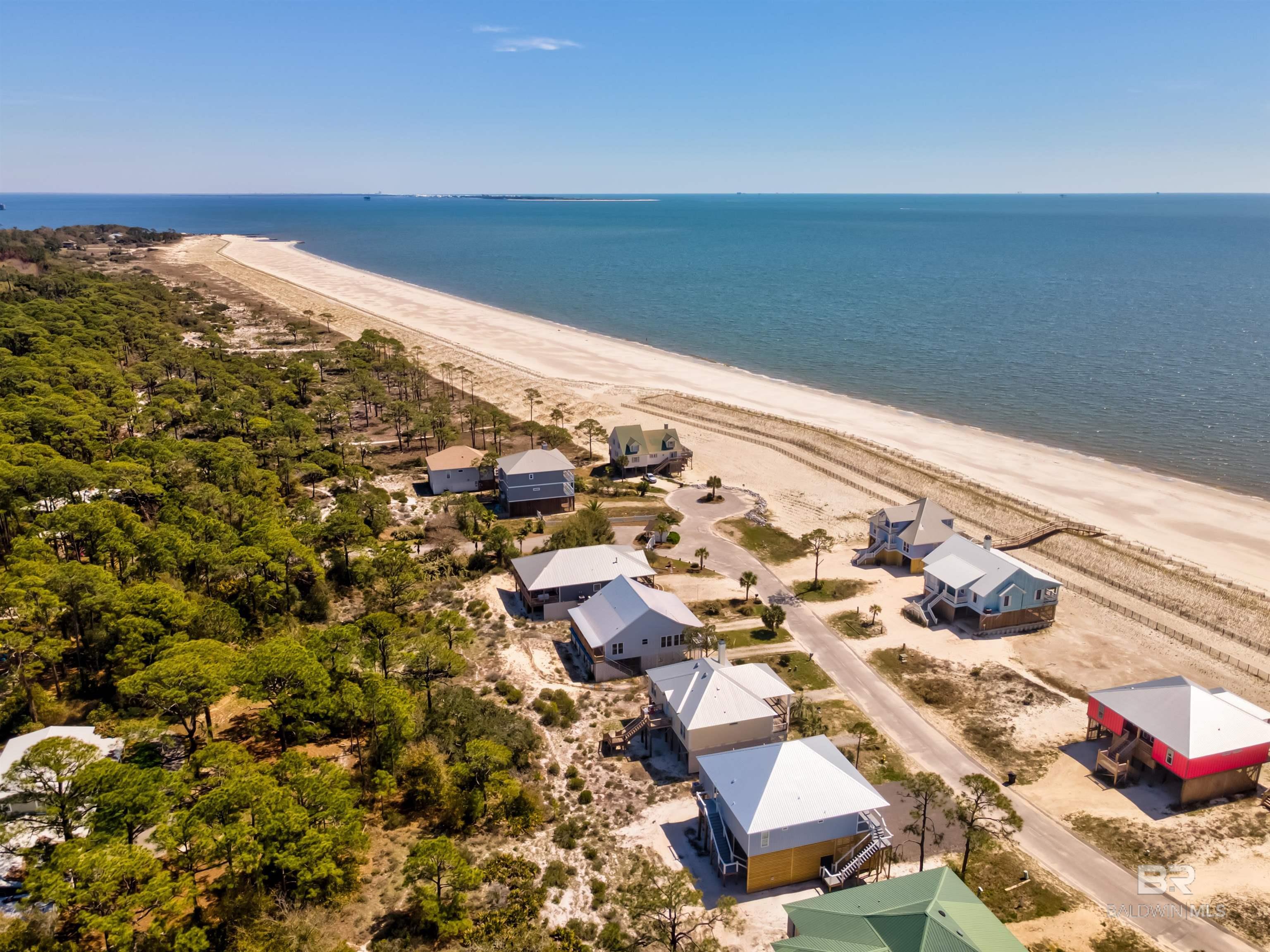 Image 4: Aerial View