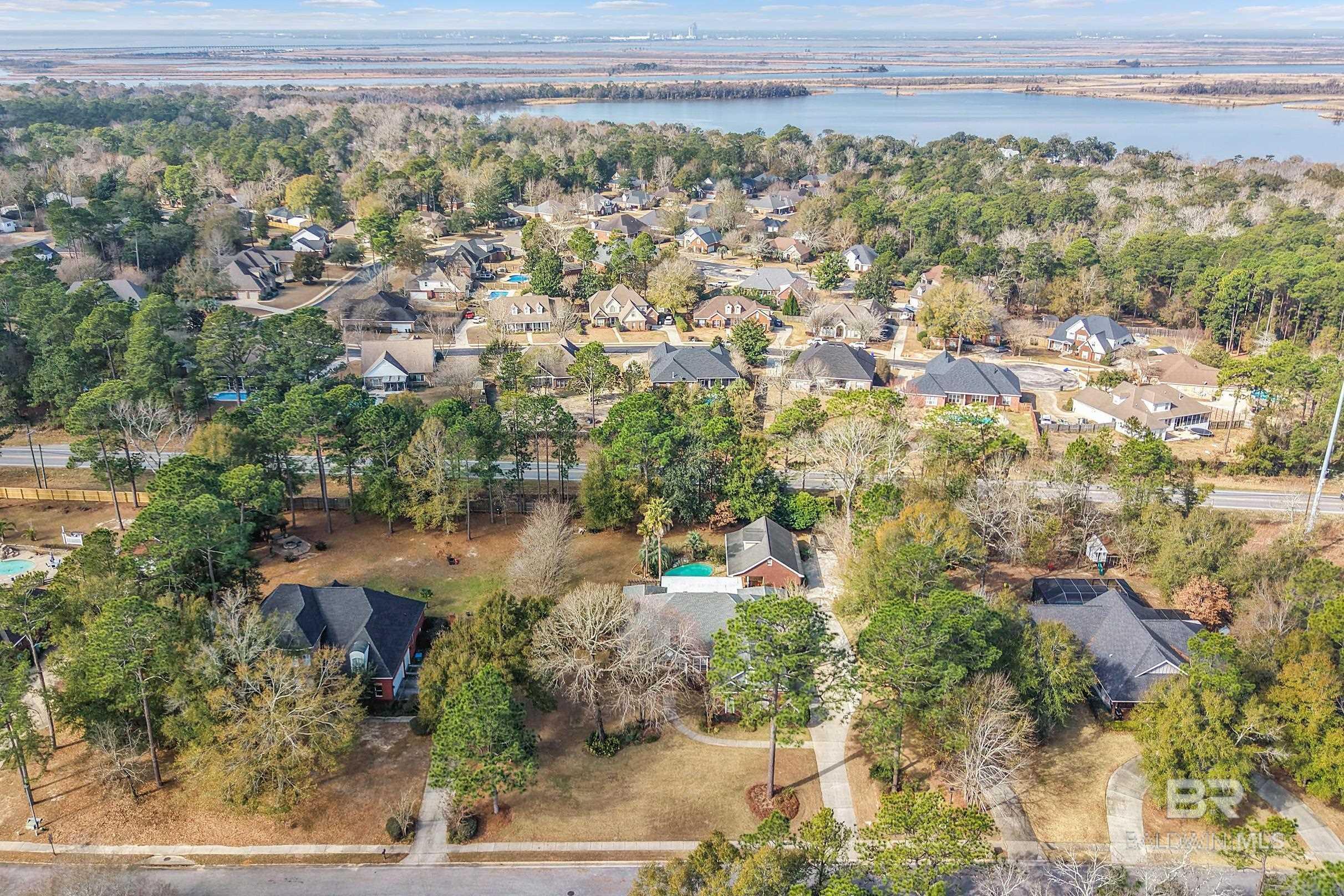 Image 3: Aerial View